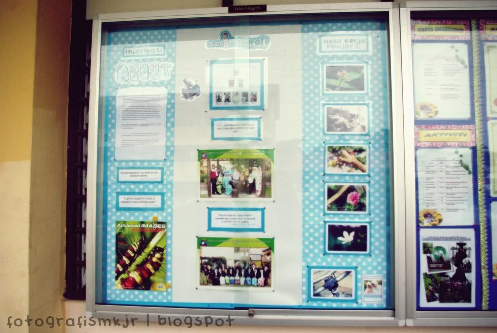 Papan forex