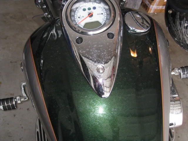IMG_1283.jpg