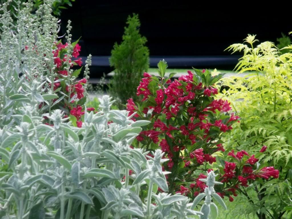  photo DSCF0440crs.jpg