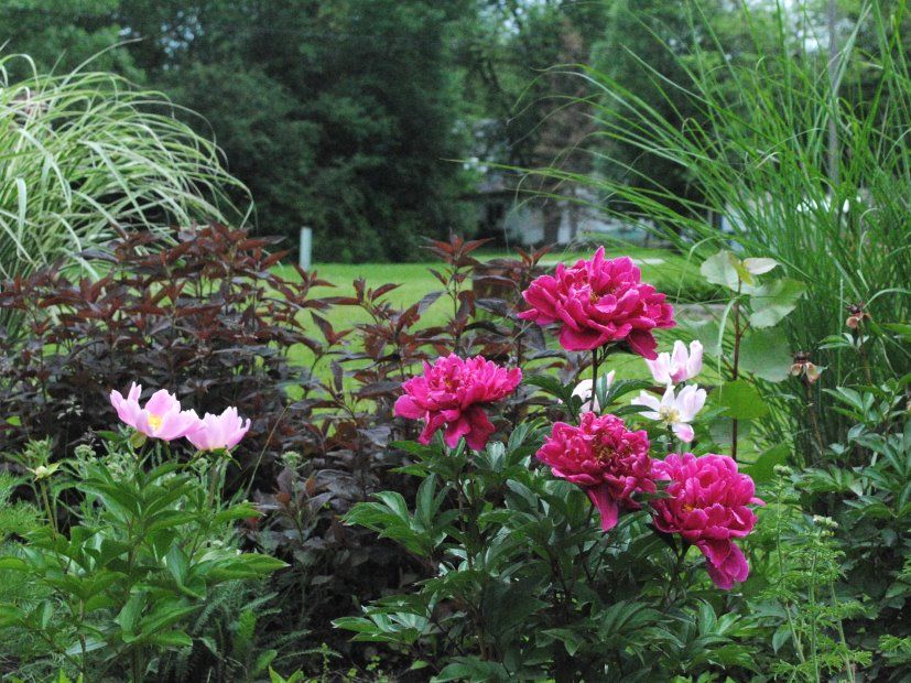  photo DSC_1320cr.jpg