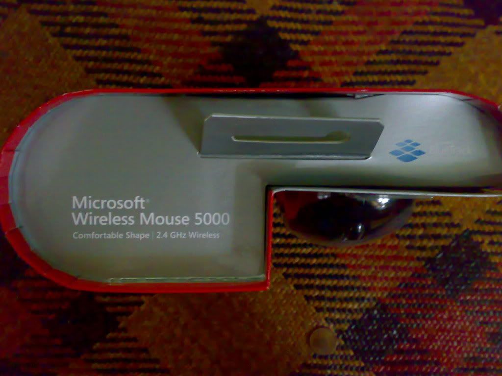 20090803197.jpg