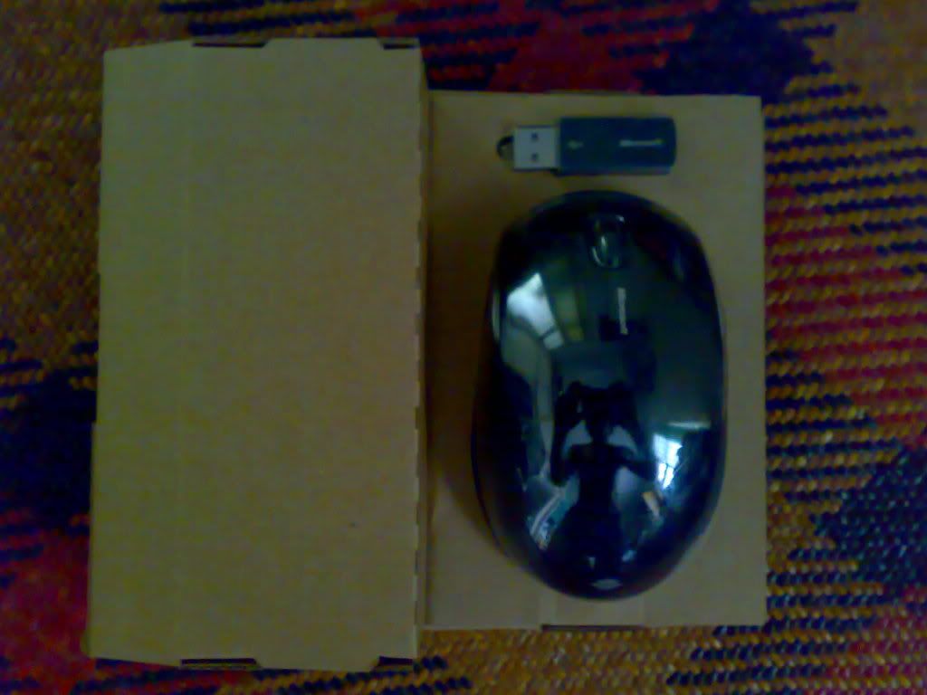 20090803198.jpg