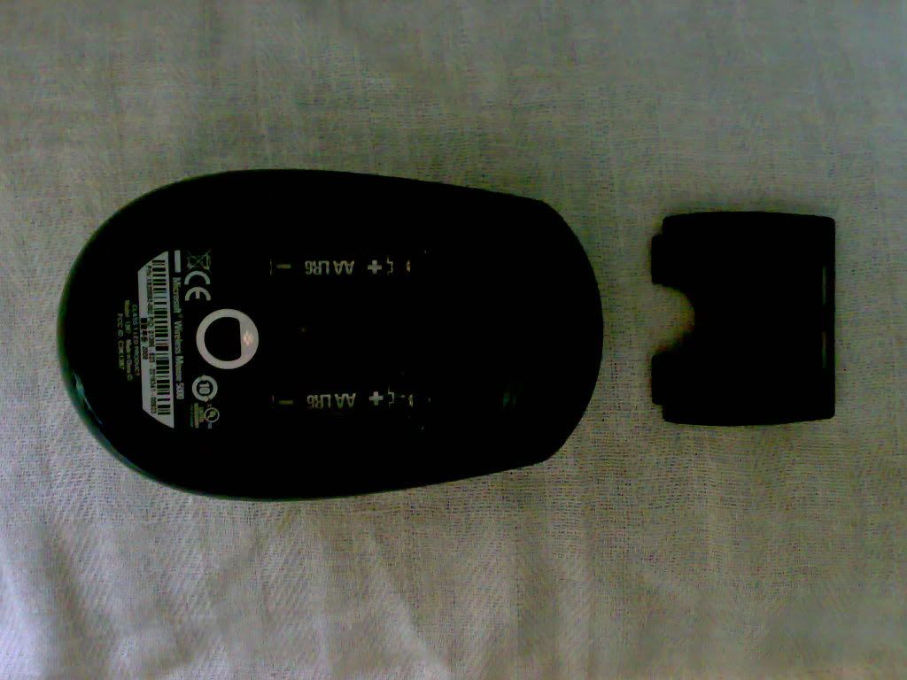 20090803202.jpg