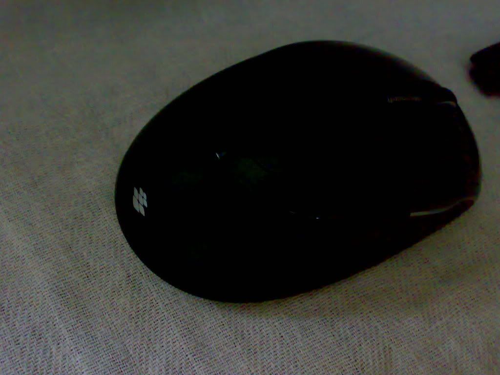 20090803203.jpg