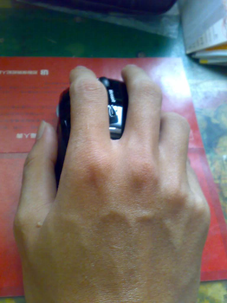 20090803205.jpg