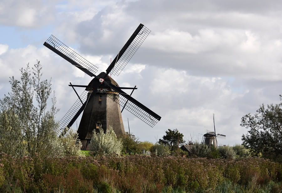 Fotografie