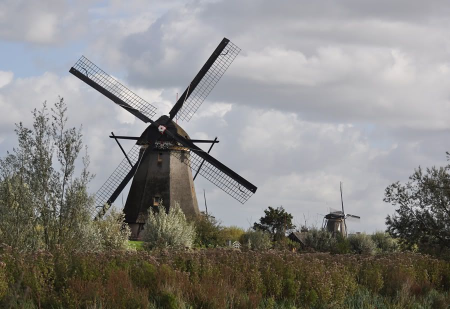 Fotografie