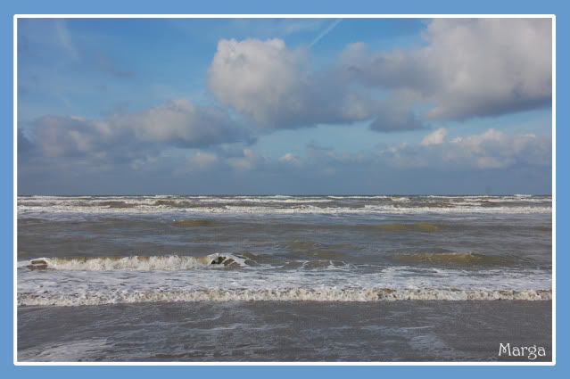 Fotografie