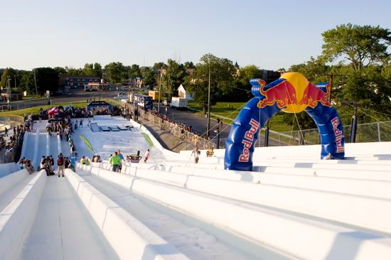 Red Bull Buttercup Niagara Fall