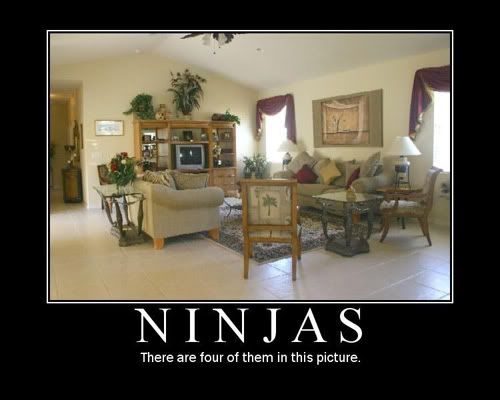 [Image: ninjas.jpg#Ninja]