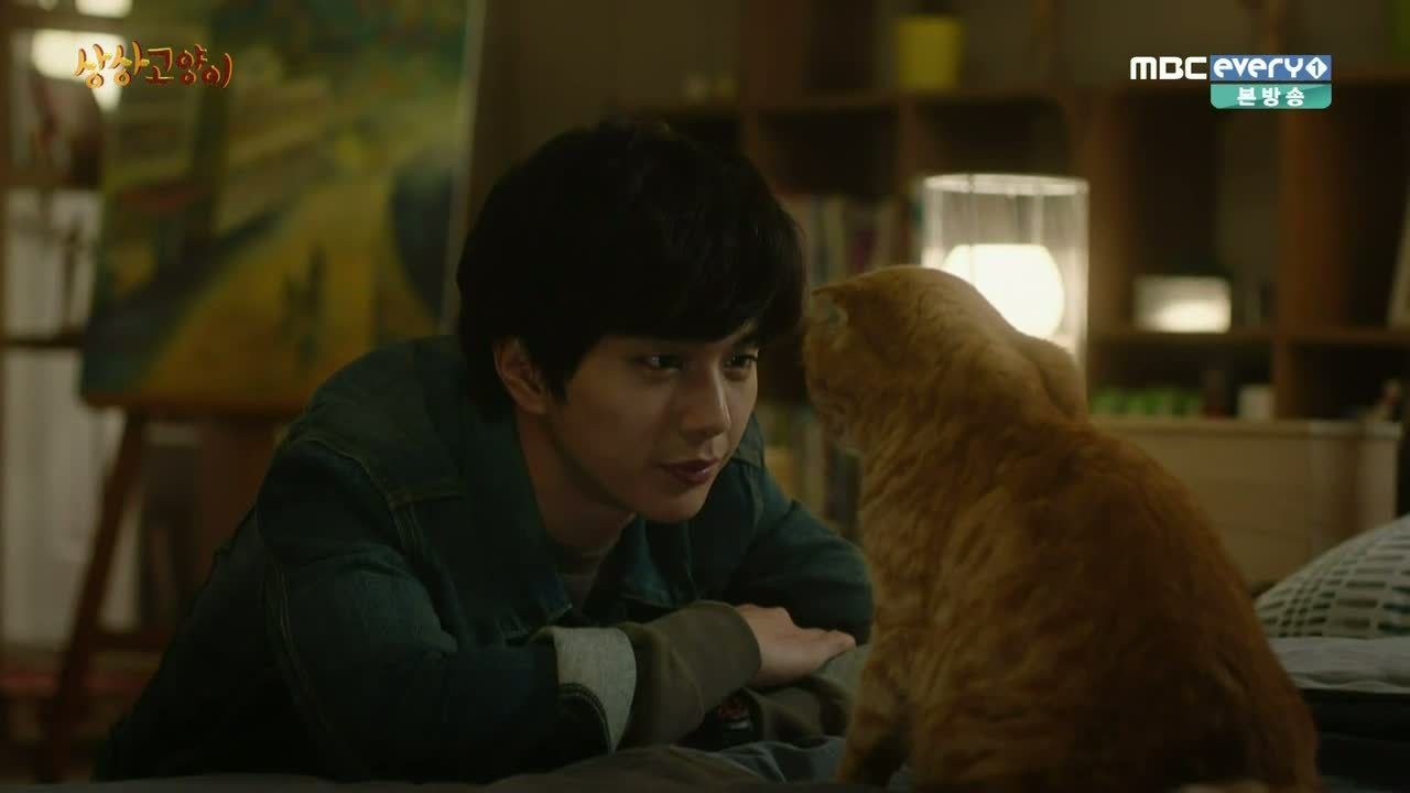 Imaginary Cat: Episode 3 » Dramabeans Korean drama recaps