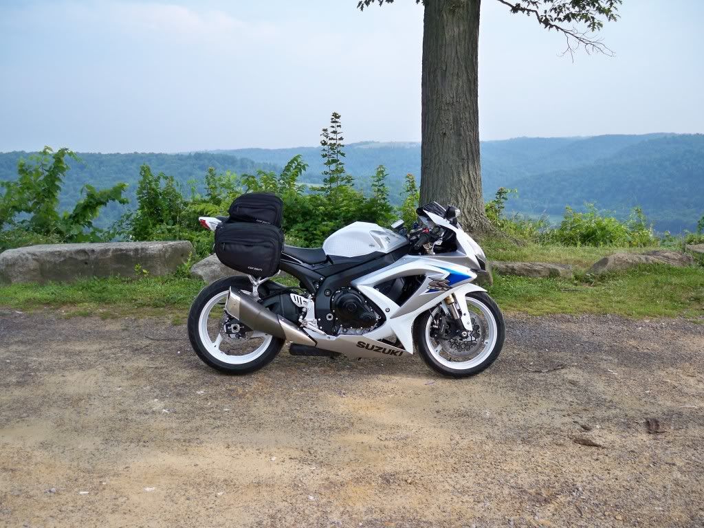 sv650 saddlebags