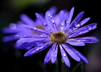 Hindi Jokes Group Hindi Jokes Group