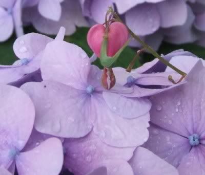 Hindi Jokes Group Hindi Jokes Group