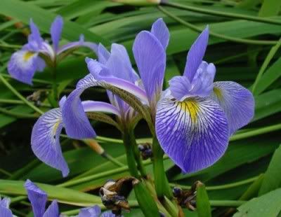 Hindi Jokes Group Hindi Jokes Group