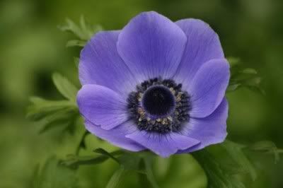 Hindi Jokes Group Hindi Jokes Group