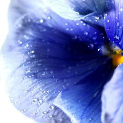 Hindi Jokes Group Hindi Jokes Group