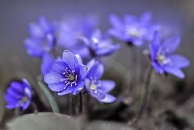 Hindi Jokes Group Hindi Jokes Group