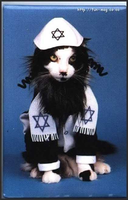 Hindi Jokes Group Hindi Jokes Group