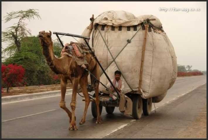 Hindi Jokes Group Hindi Jokes Group