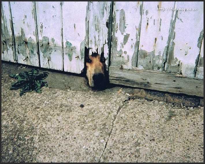 Hindi Jokes Group Hindi Jokes Group