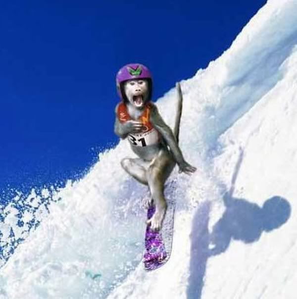 Hindi Jokes Group Hindi Jokes Group