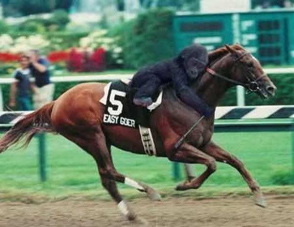 Hindi Jokes Group Hindi Jokes Group