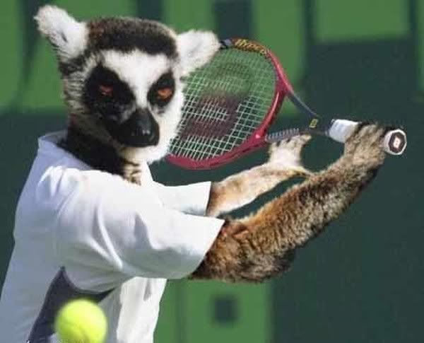 Hindi Jokes Group Hindi Jokes Group