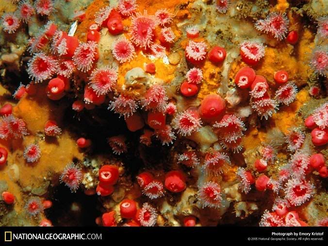 Hindi Jokes Group Hindi Jokes Group