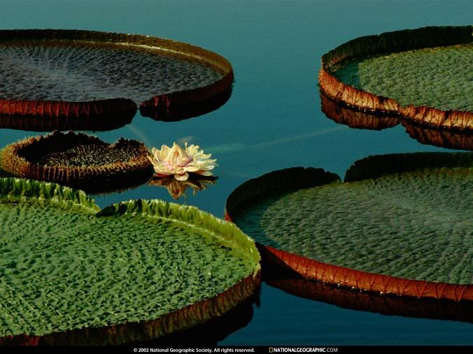 Hindi Jokes Group Hindi Jokes Group