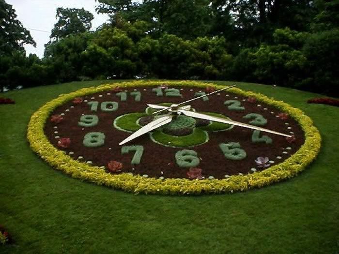 FLOWER CLOCK  PICTURES 5