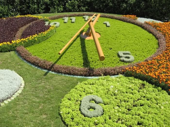 FLOWER CLOCK  PICTURES 3