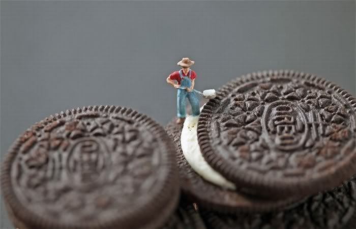 awesome funny pictures of tiny peoples13