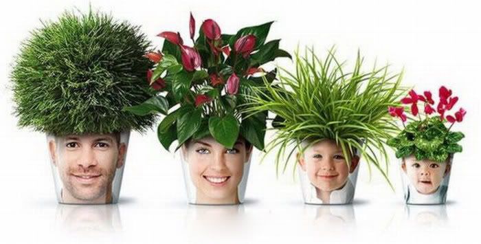 Creative Plant Pots Amazing Pictures 4