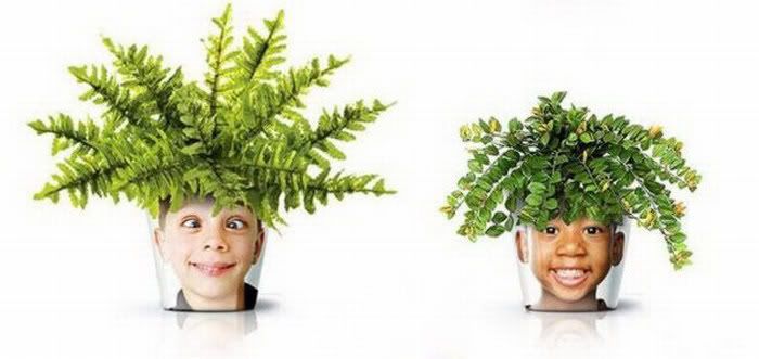 Creative Plant Pots Amazing Pictures 1