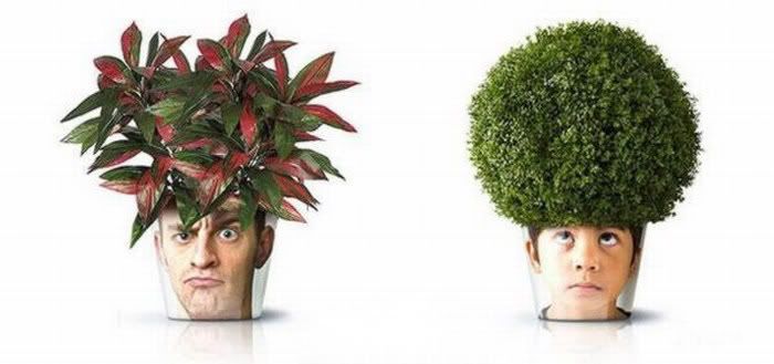 Creative Plant Pots Amazing Pictures