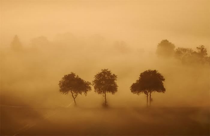 beautiful foggy nature pictures13