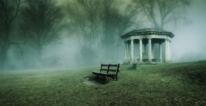 beautiful foggy nature pictures18
