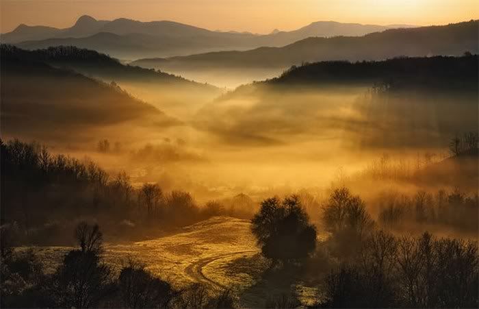 beautiful foggy nature pictures24