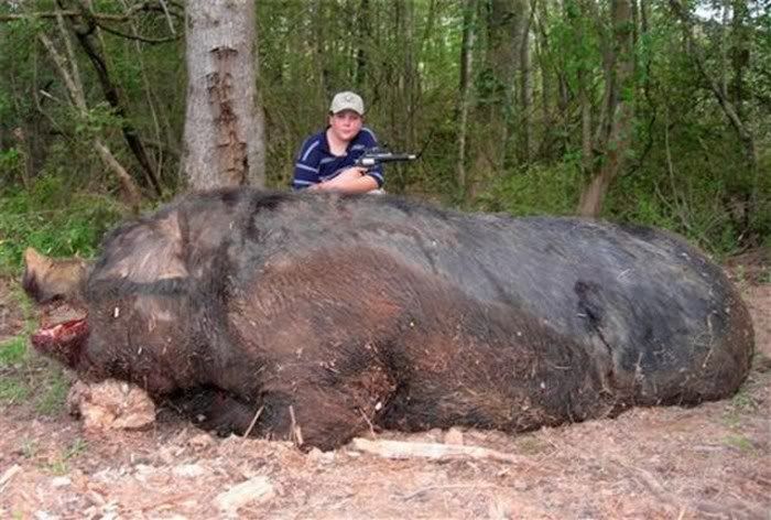 Supersized Creatures Funny Pictures 7