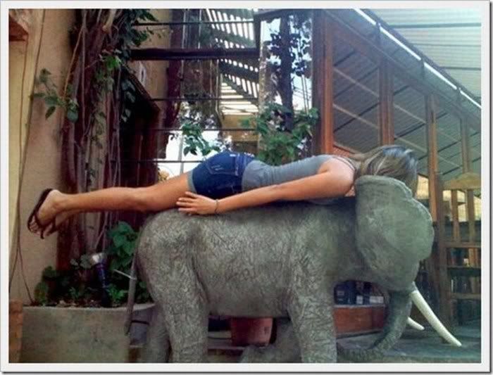 Funny planking Pictures 11