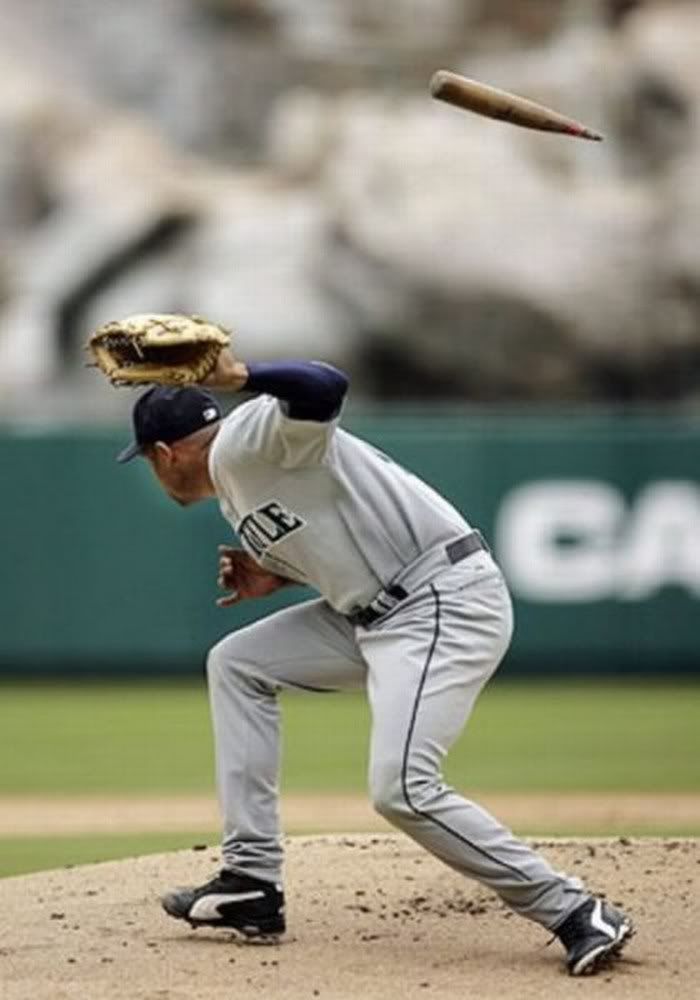funny baseball game pictures7
