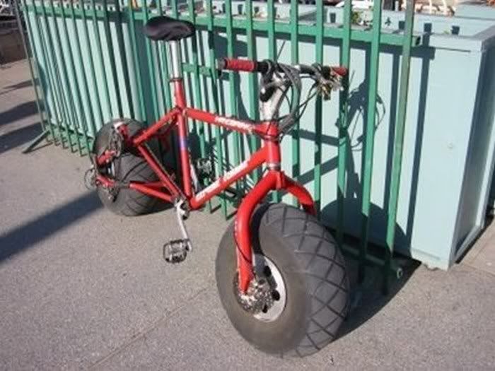 funny bicycle pictures7