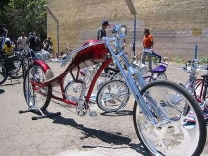 funny bicycle pictures14