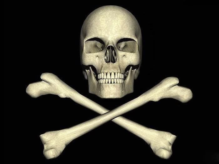 funny skull pictures3