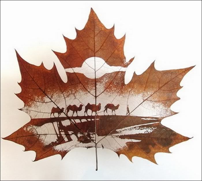 awesome leaf carving funny pictures