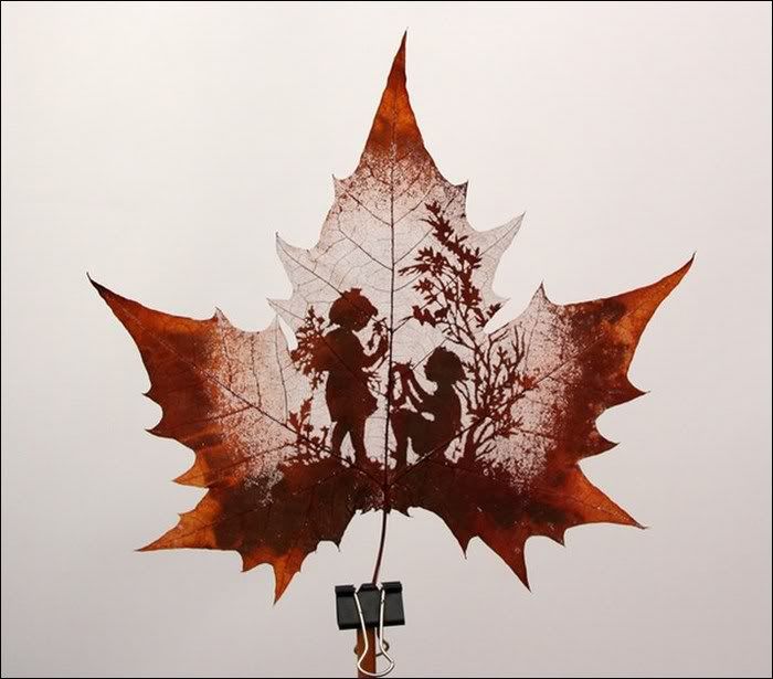 awesome leaf carving funny pictures1