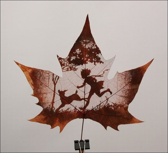 awesome leaf carving funny pictures2