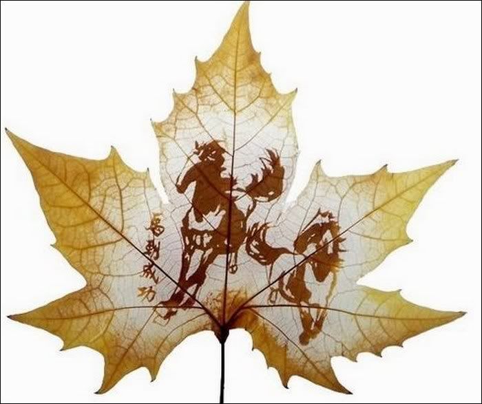 awesome leaf carving funny pictures5