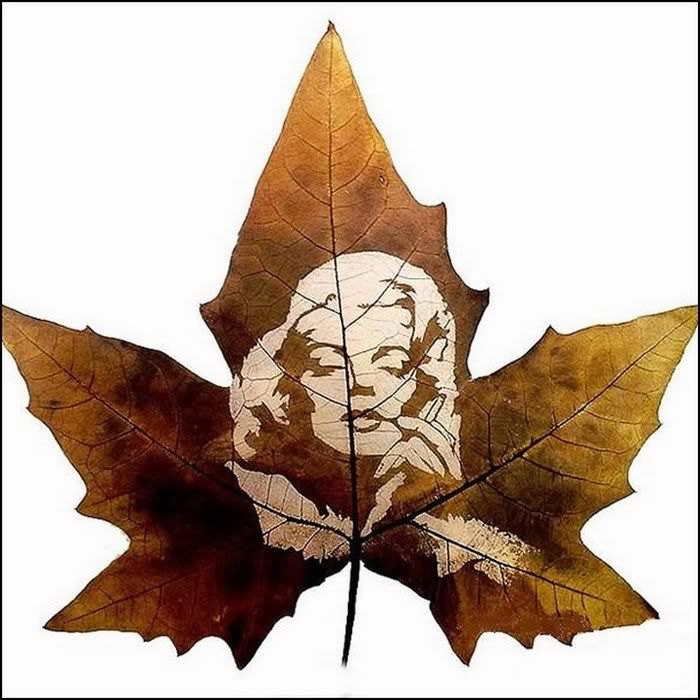 awesome leaf carving funny pictures6